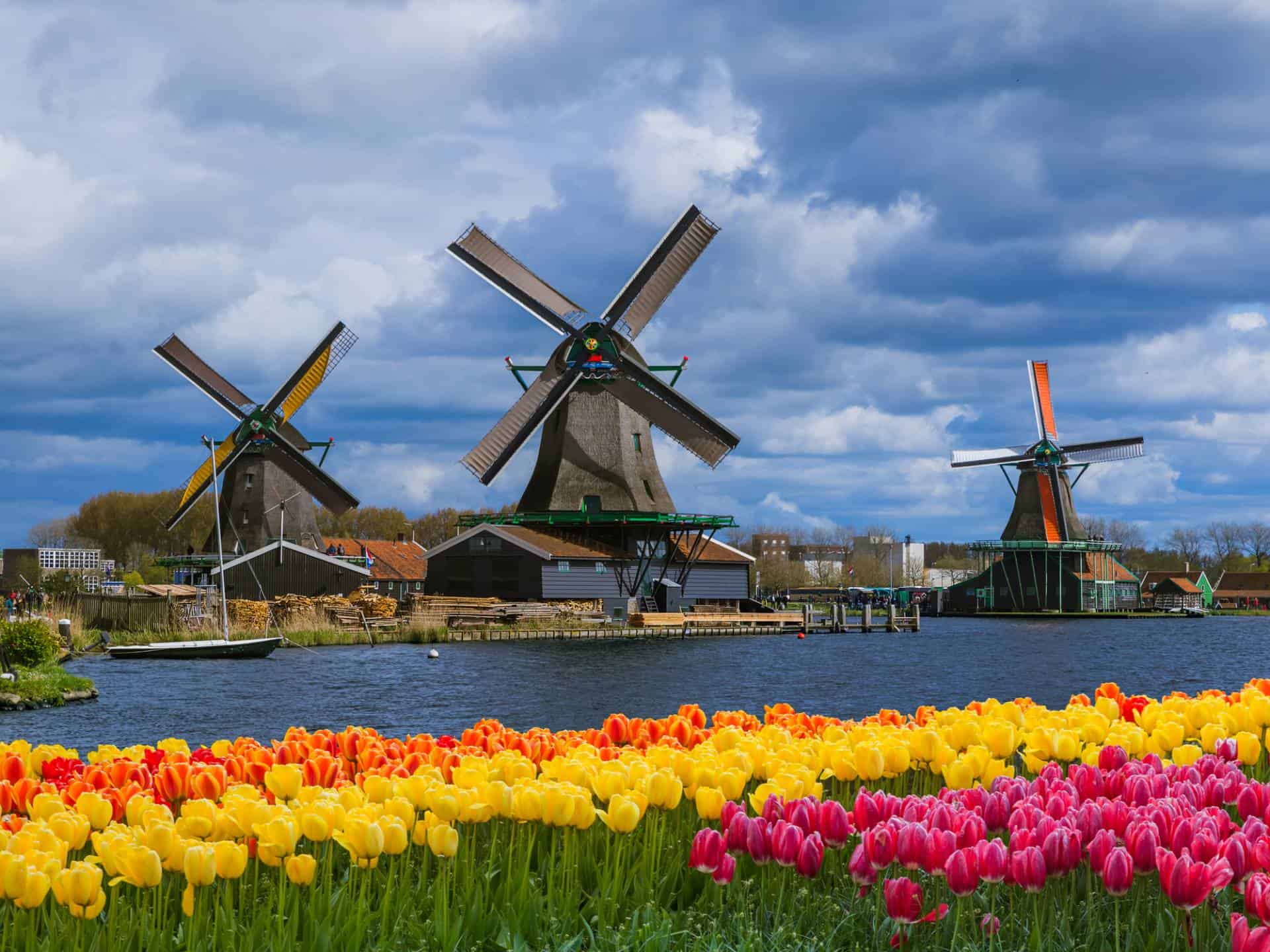 What is the difference between Holland and the Netherlands?
