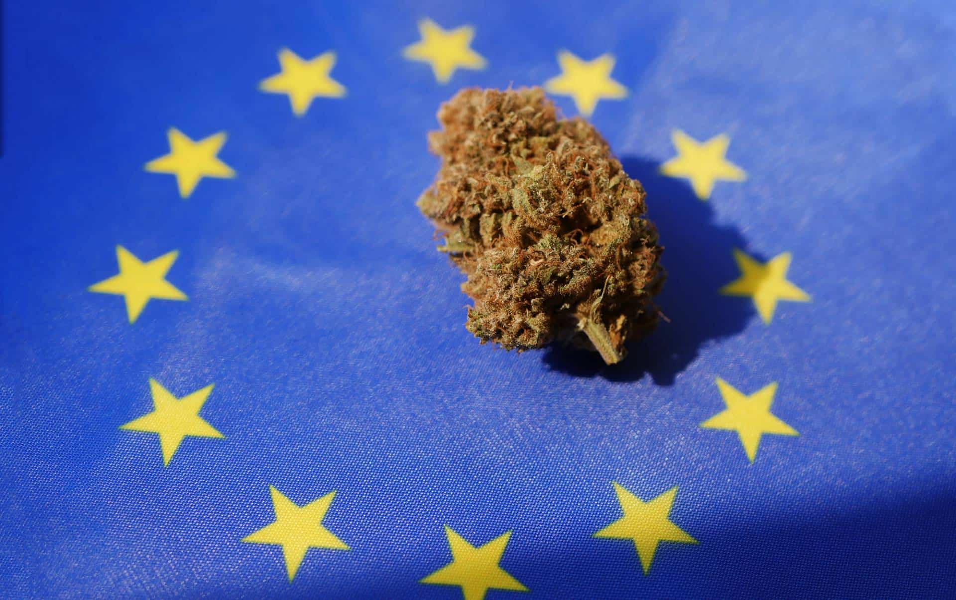 Cannabis bud lay on European Union flag.