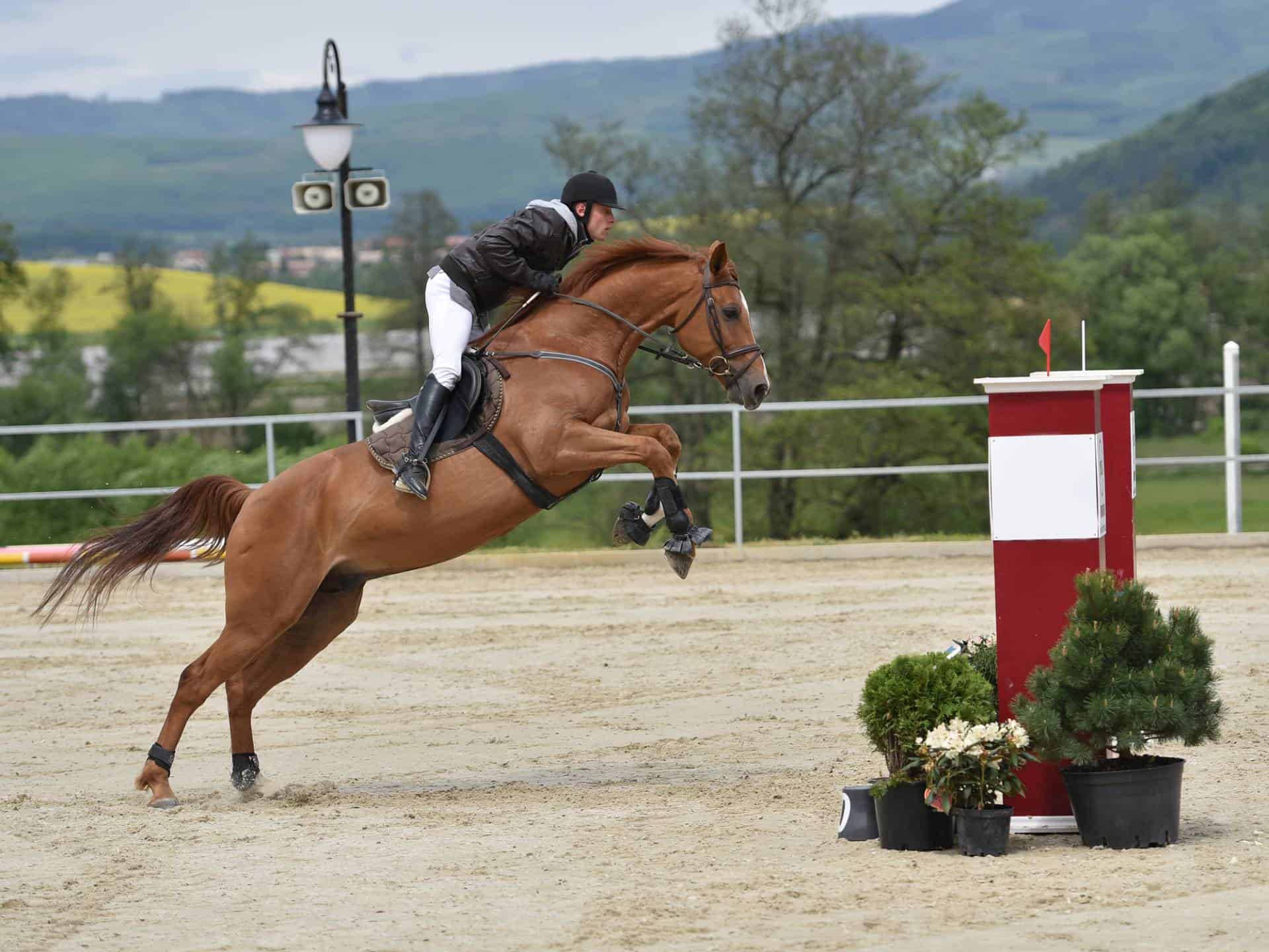 What major equestrian events are held in Europe?