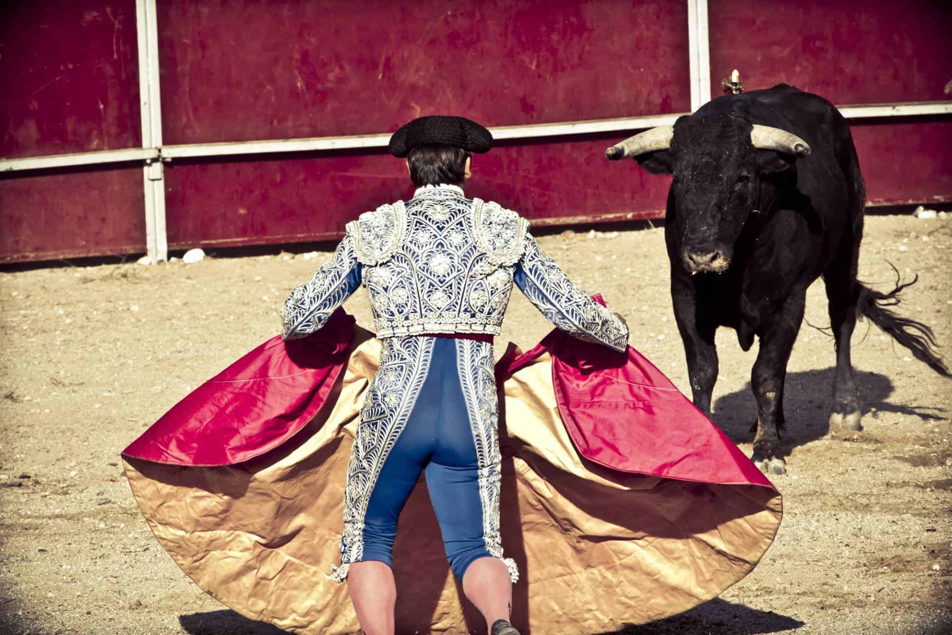 Matador and bull in a bullfight in Madrid, Spain.